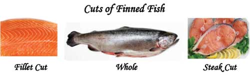 Cuts of Finned Fish