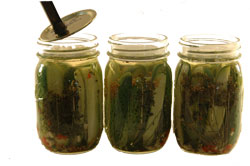 Lidding Canning Jars