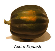 Acorn Squash