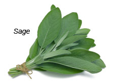 Sage