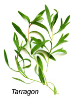 Tarragon