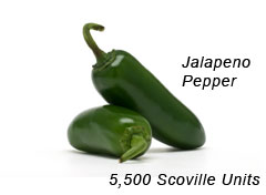 Jalapeno