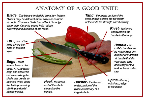 Knife Anatomy