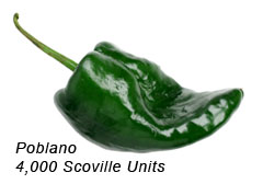 Poblano