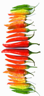 Rainbow of Chiles