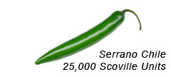 Serrano