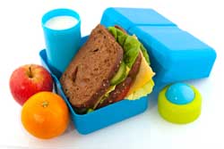 Packed Lunch in Blue Box