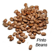 Pinto Beans