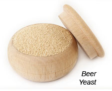 Beer Yeast