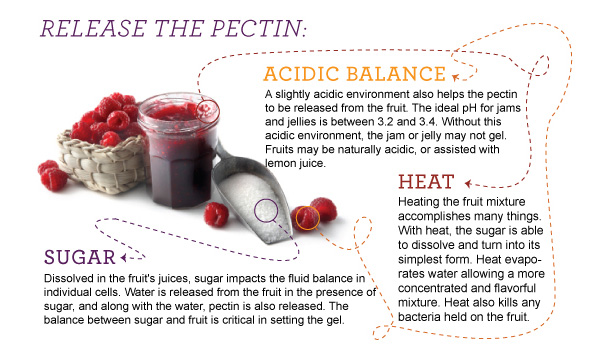 Pectin