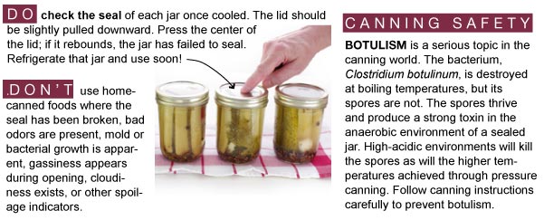 Canning Safety
