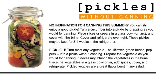Pickles without Canning