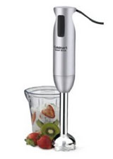 Immersion Blender