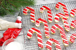 Peppermint Candy Canes