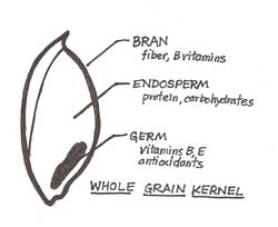 Grain Diagram