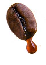 Dripping Coffee Bean