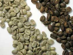 Green and Roasted Beans