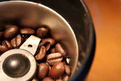 Beans in Grinder