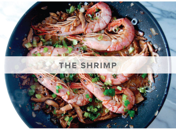 The Shrimp