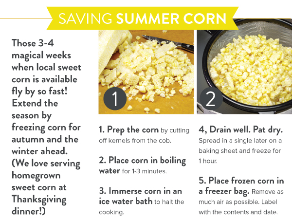 Saving Summer Corn