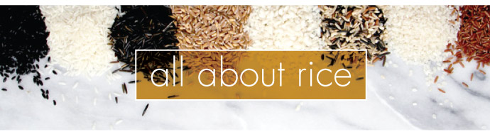 All About Rice